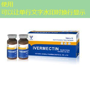 17 game bet 17 game bet